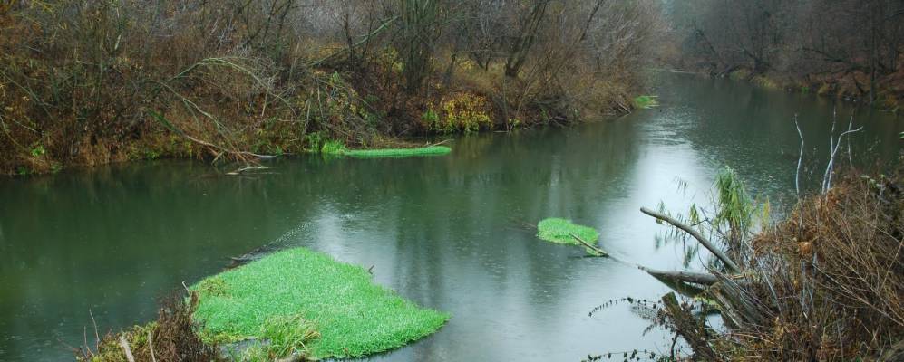 
            Фотография Хохлово