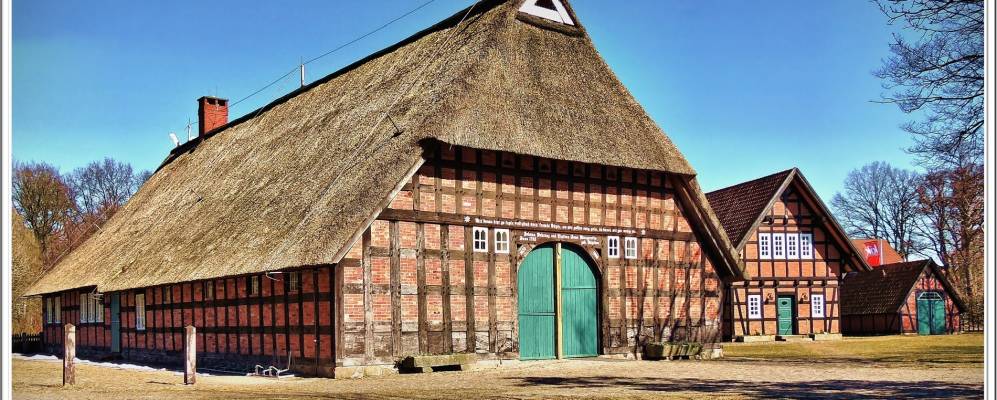 
            Фотография Зотрума