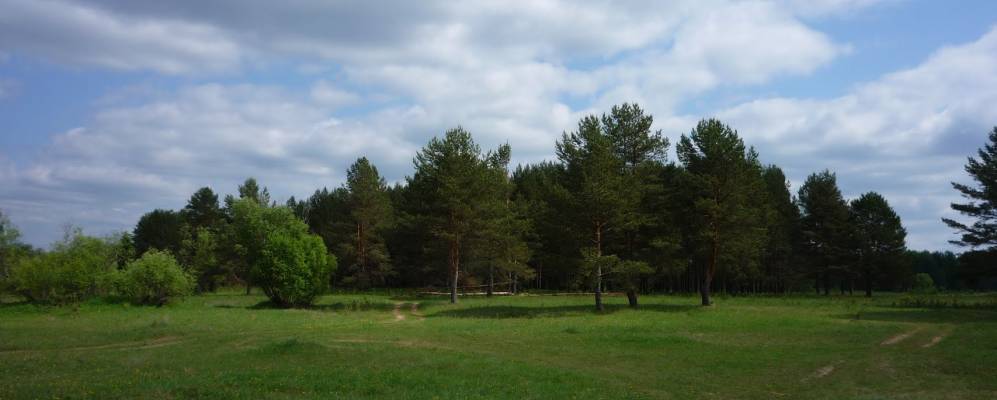 
            Фотография Рябинушки