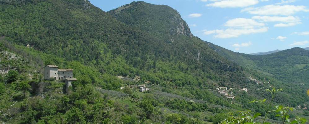 
            Фотография Стреттуры