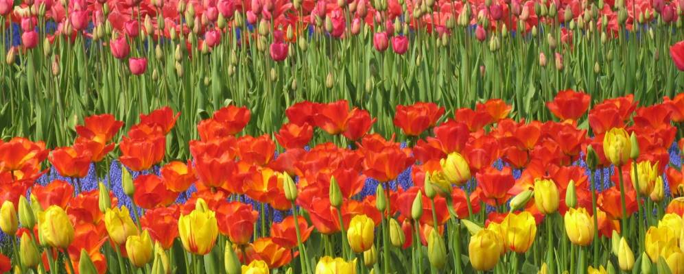 
            Фотография Зутермера