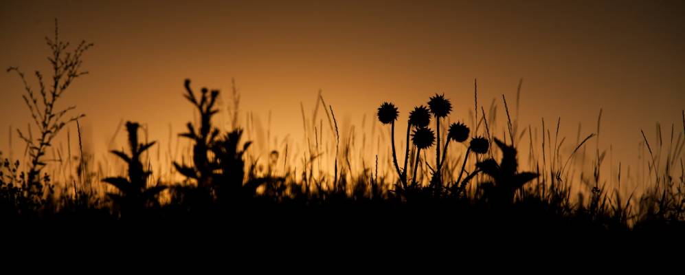 
            Фотография Щедрого