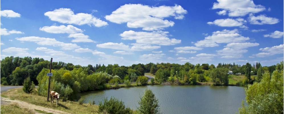 
            Фотография Зеленого Гая