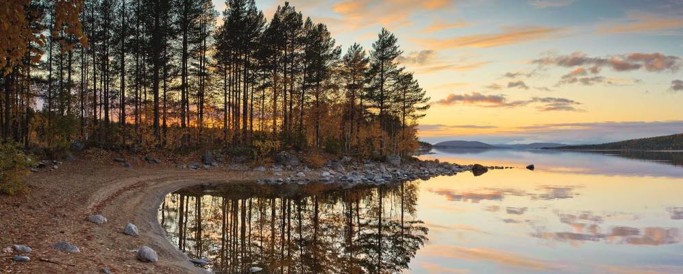 
            Фотография Пиренги