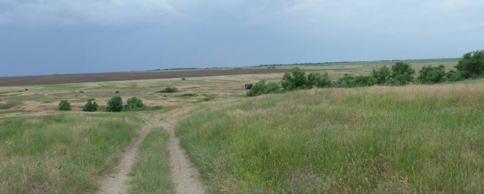 
            Фотография Набата