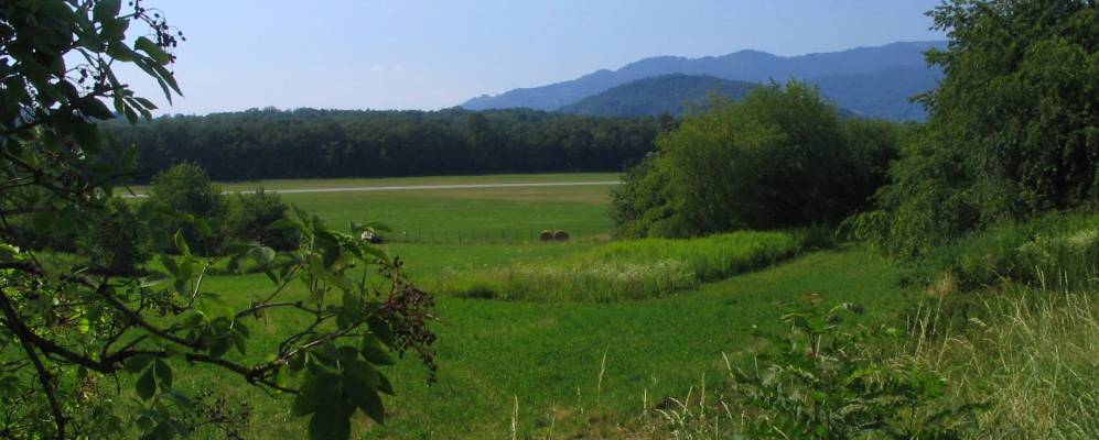 
            Фотография Орсениго