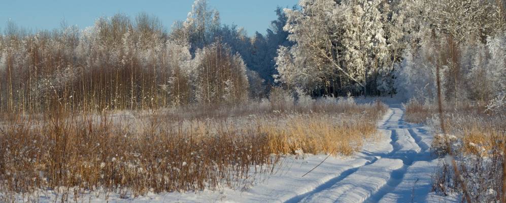 
            Фотография деревни Новосёлки