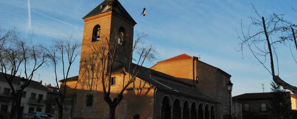 
            Фотография Аловеры