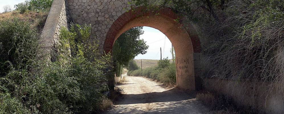 
            Фотография Лоечеса