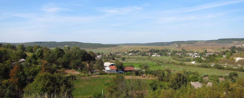 
            Фотография Бища