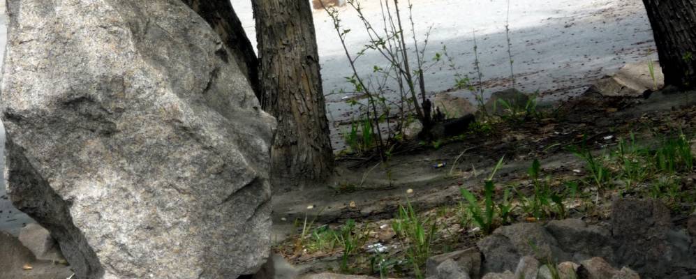 Фотография Оравки