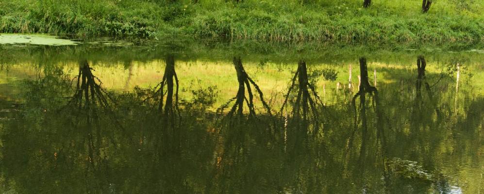 
            Фотография Санатория Подмосковье