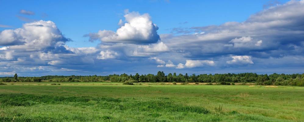 
            Фотография Волошово