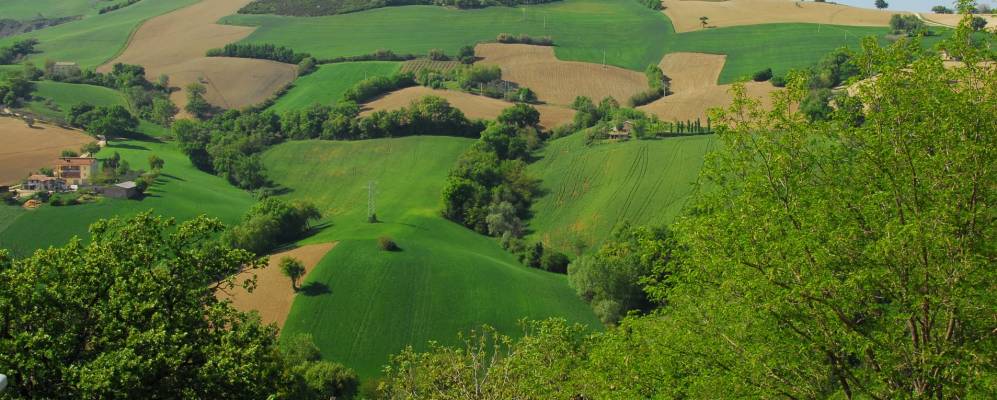 
            Фотография Бельфорте дель Киенти