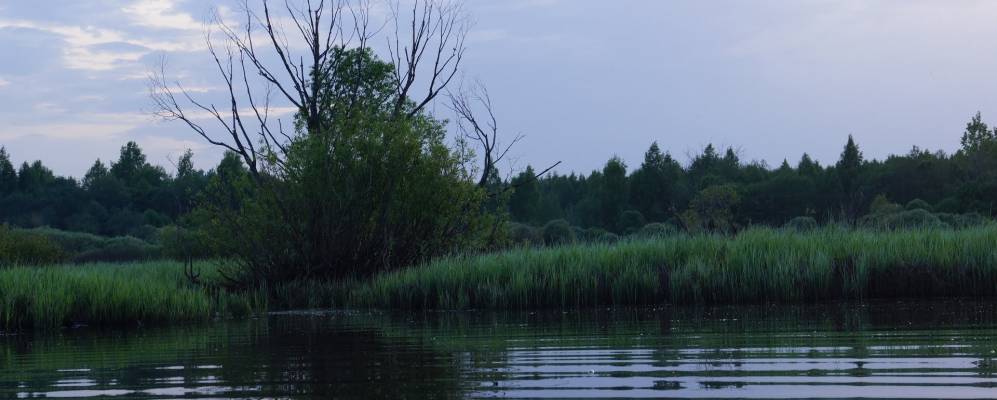 
            Фотография деревни Воробьи