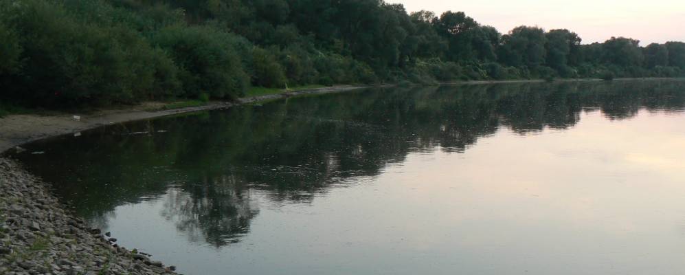 
            Фотография Борщевки