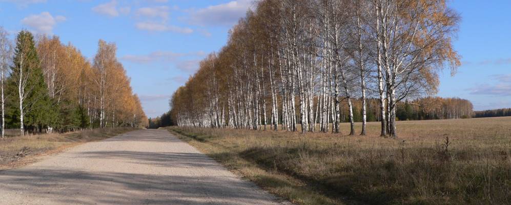 
            Фотография Лемешков
