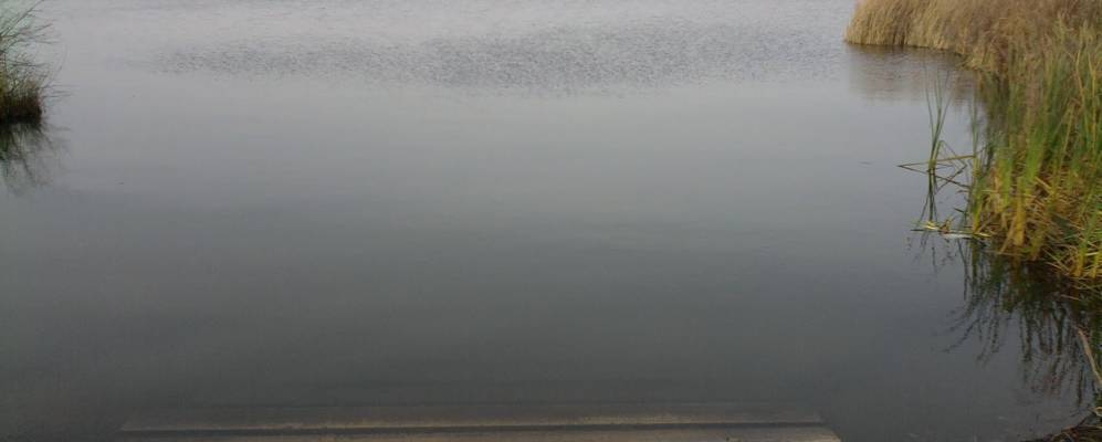 
            Фотография Миннетристы