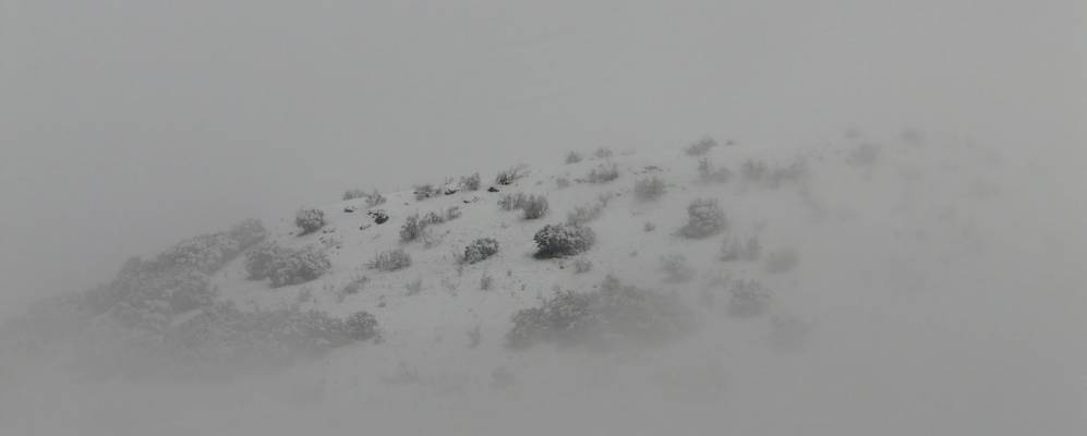 
            Фотография Поведилья