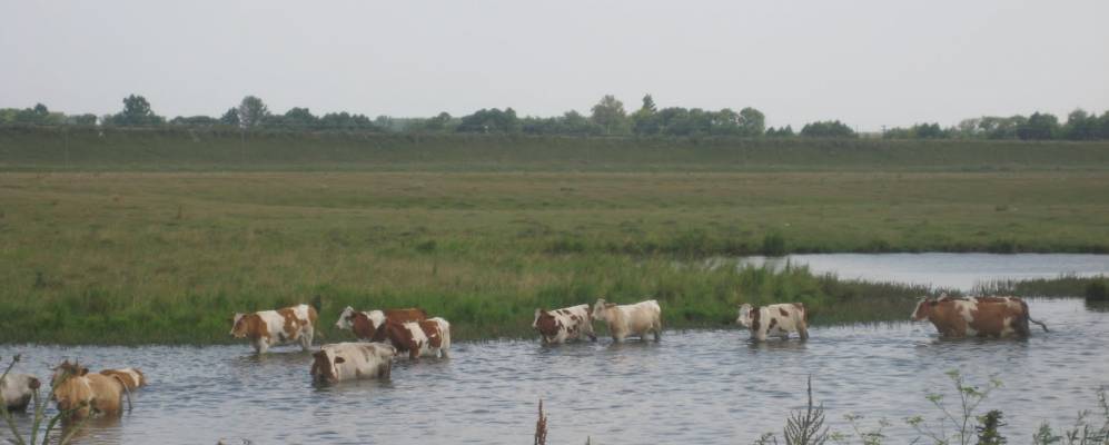 Фотография урочища Новая Деревня