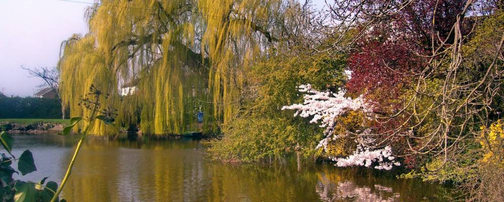 
            Фотография Донингтона