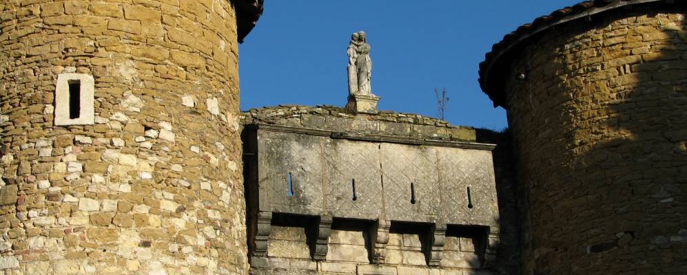 
            Фотография Лиссьё