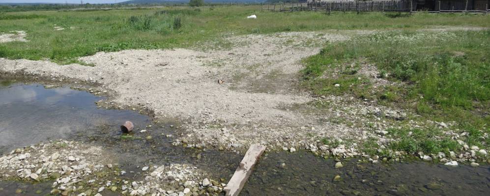 Фотография Садовки