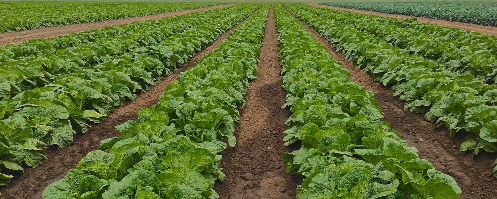 
            Фотография Заветного