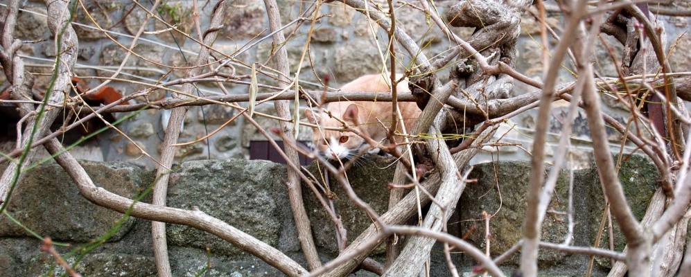 
            Фотография Айона