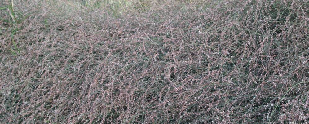 
            Фотография Айайос Николаоса