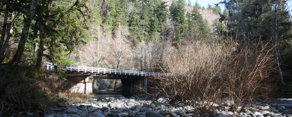 
            Фотография Роус Лоджа