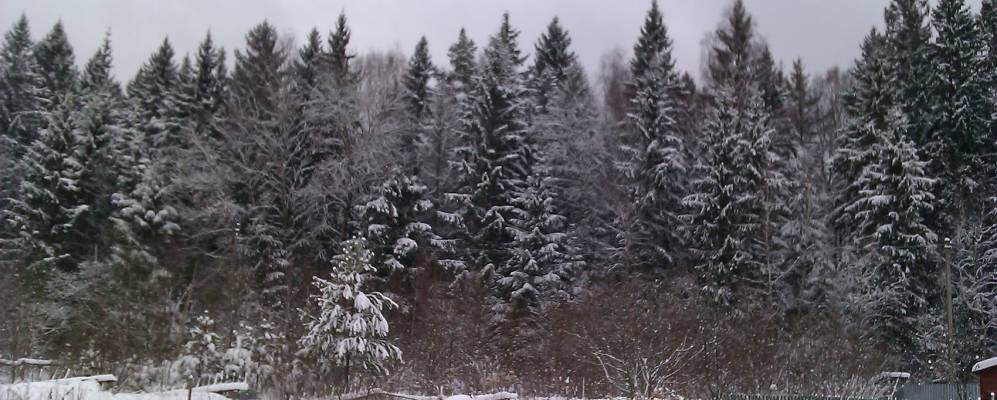 Фотография Больших Козлов