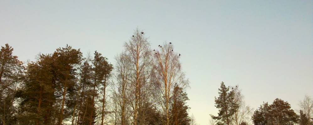 Фотография деревни Новой Кашникова