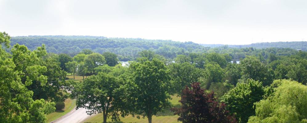 
            Фотография Куинт Веста