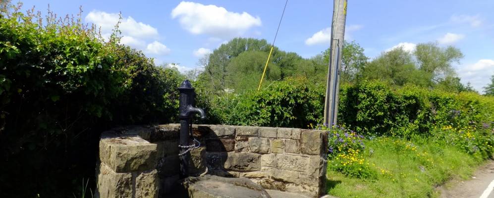 
            Фотография Россетта