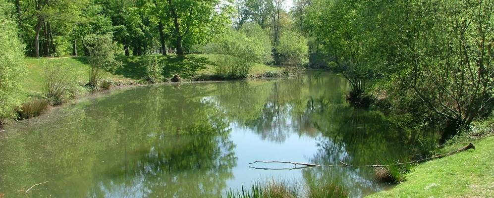 
            Фотография Нанди