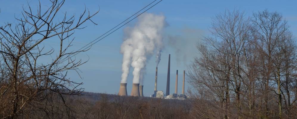 
            Фотография Хомер Сити