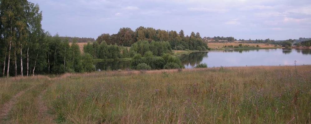 
            Фотография Бурцево