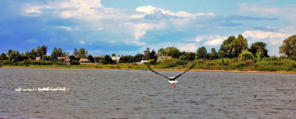 Фотография Клина