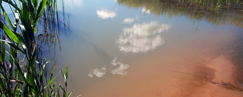 
            Фотография Карсера