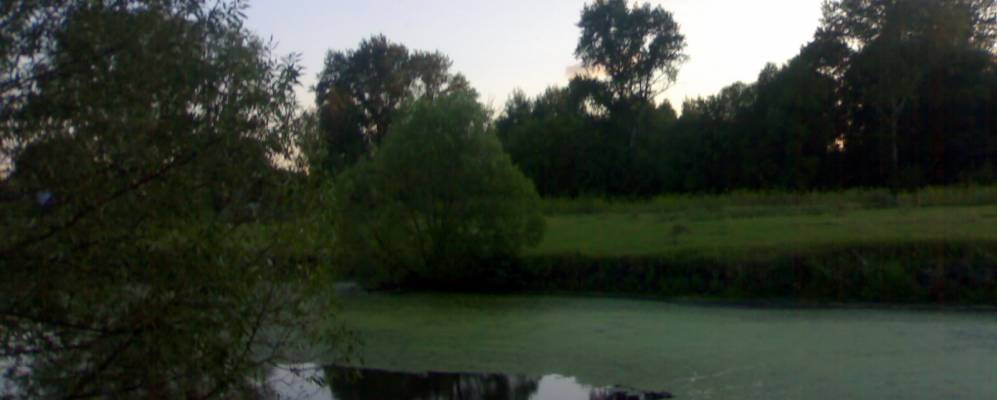 
            Фотография Раевщино