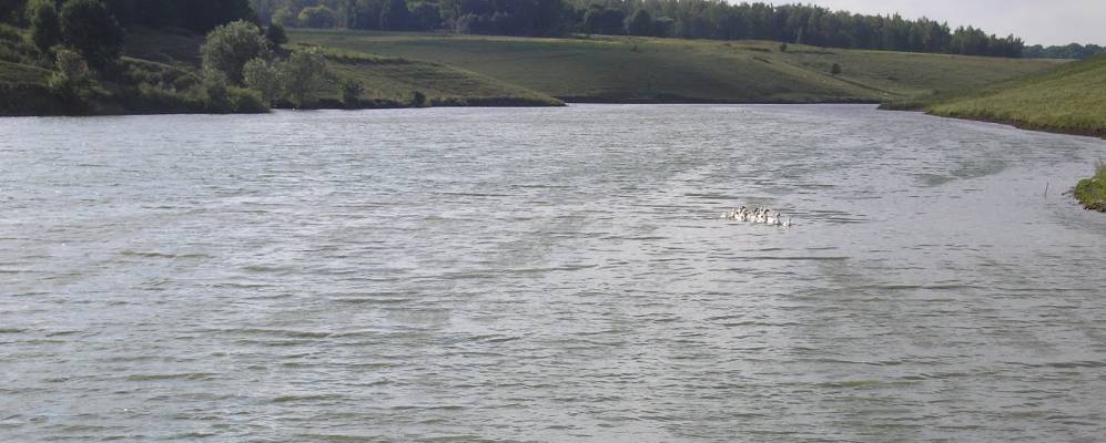 
            Фотография Логачевки