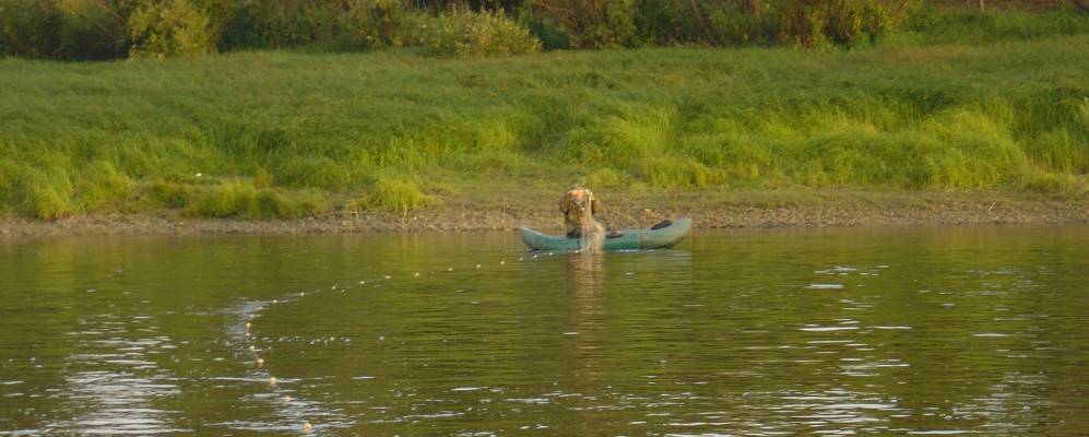 
            Фотография Голышева
