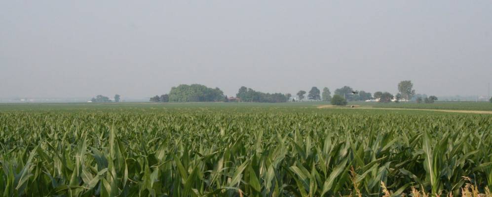 
            Фотография Савойи