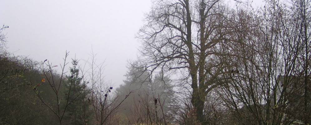 
            Фотография Бад Эндбаха