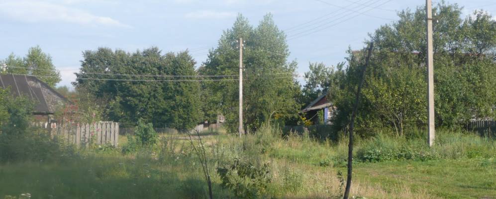 
            Фотография Рога