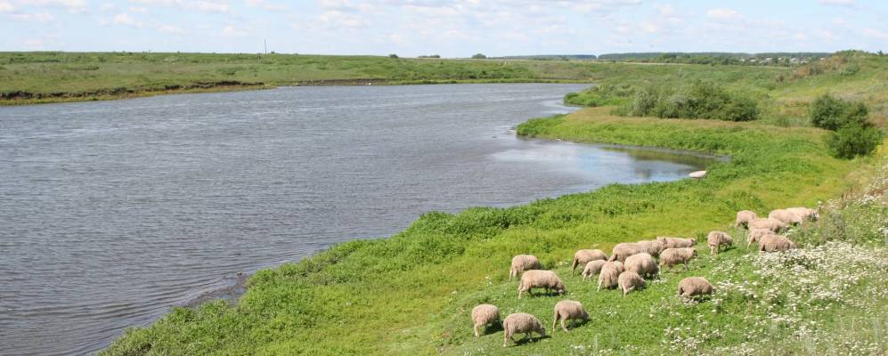
            Фотография Старой Рожковки