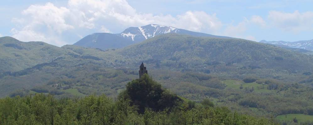 
            Фотография Рокка Корнеты