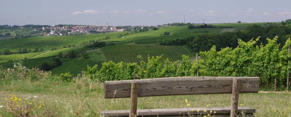 
            Фотография Харксхайма