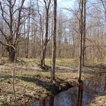 Малое Замошье